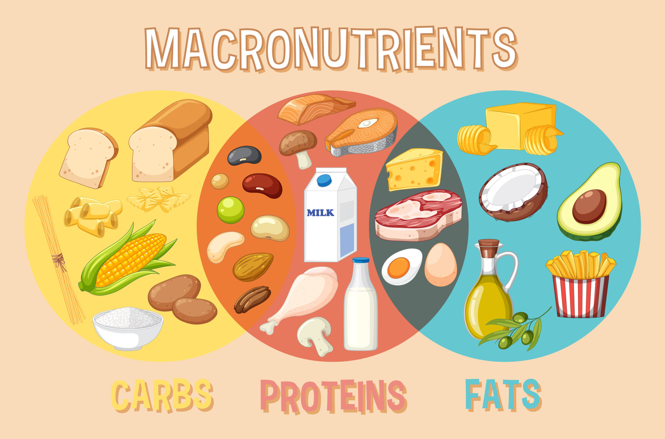 Macronutrients for Fat Loss and Muscle Gain: A Practical Guide to Eating Smarter