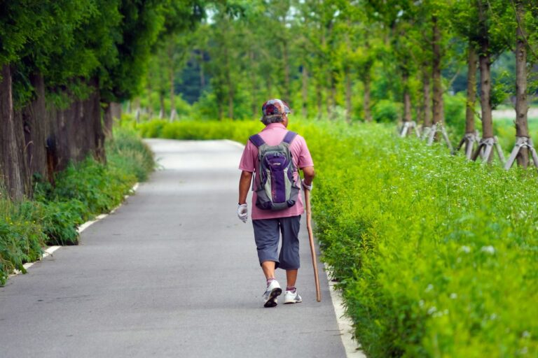 Person walking along a serene tree-lined paved path practicing daily walking as medicine